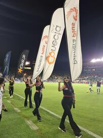Catálogo Primera Plus/Flecha Amarilla Página 1