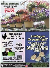 Fiesta Farms flyer week 19 Page 4