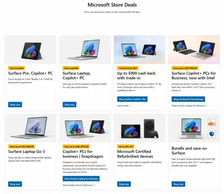 Microsoft flyer (valid until 9-05)