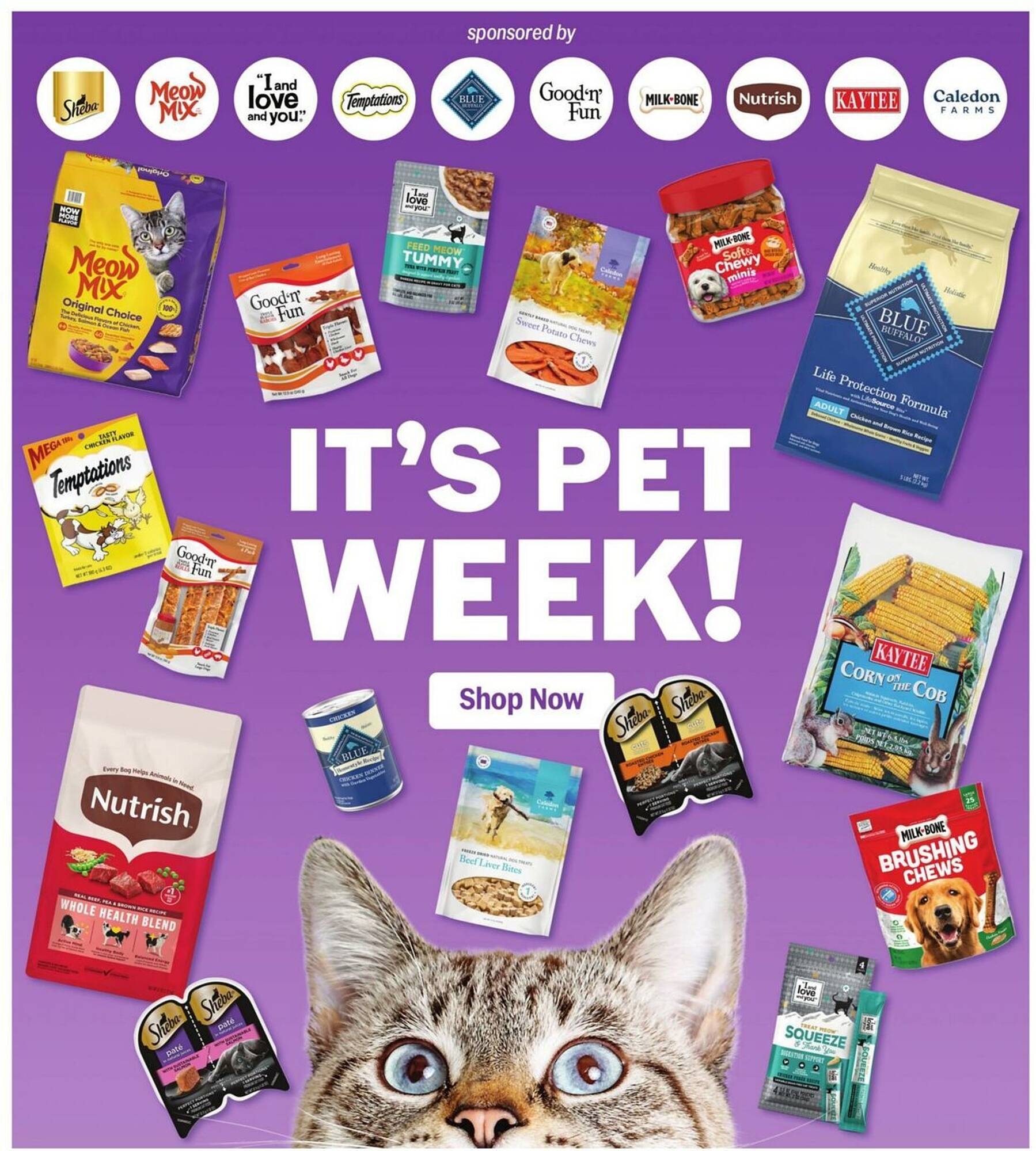 Meijer Weekly Ad week 20 Page 49
