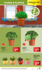 Folheto Lidl semana 20 Página 19