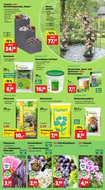 Thomas Philipps Prospekt woche 20 Seite 3