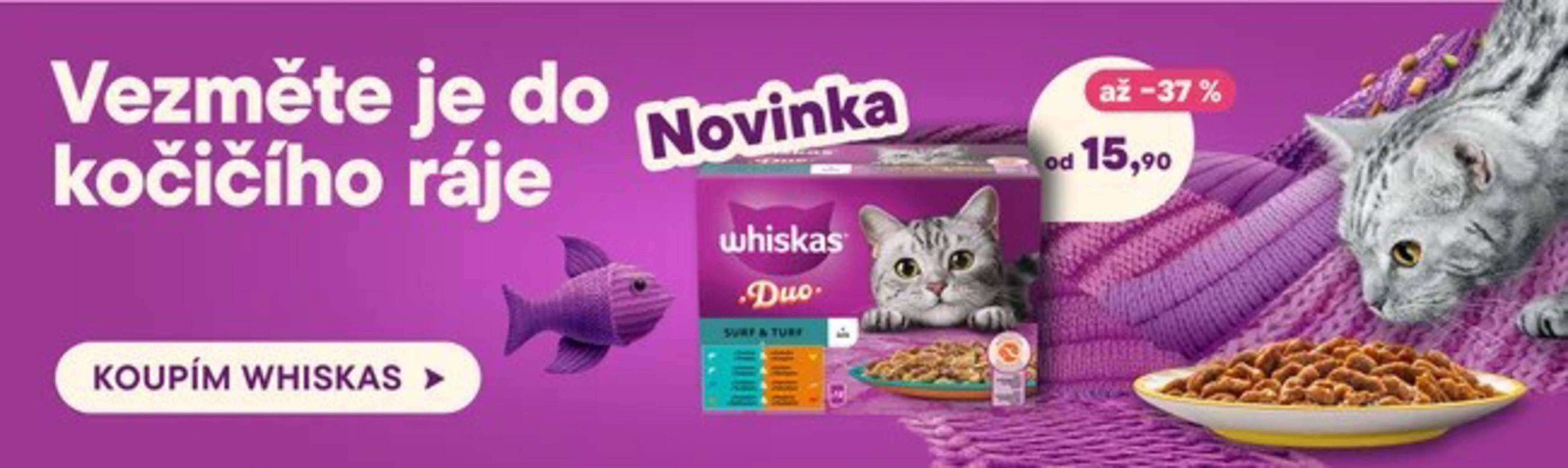 Košík leták týden 19 Strana 24