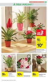 Catalogue Carrefour Drive page 21