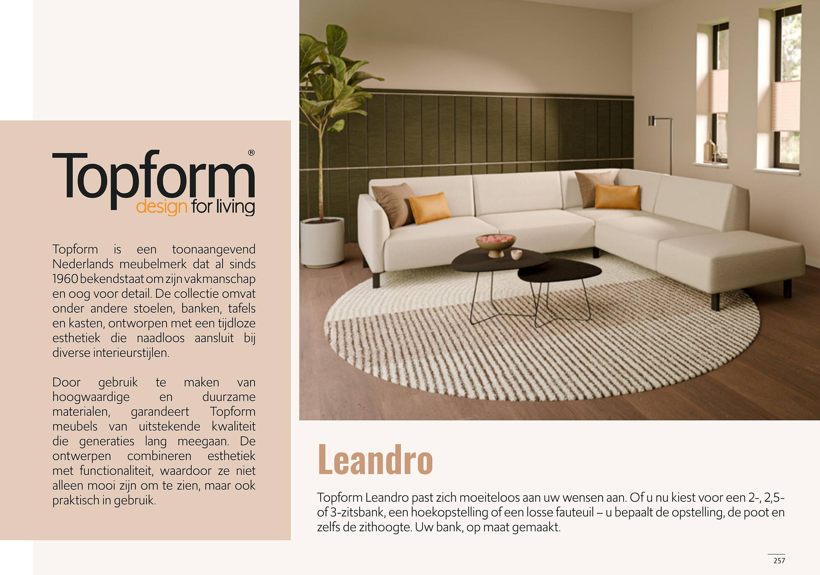 Donjon folder week 19 Pagina 259