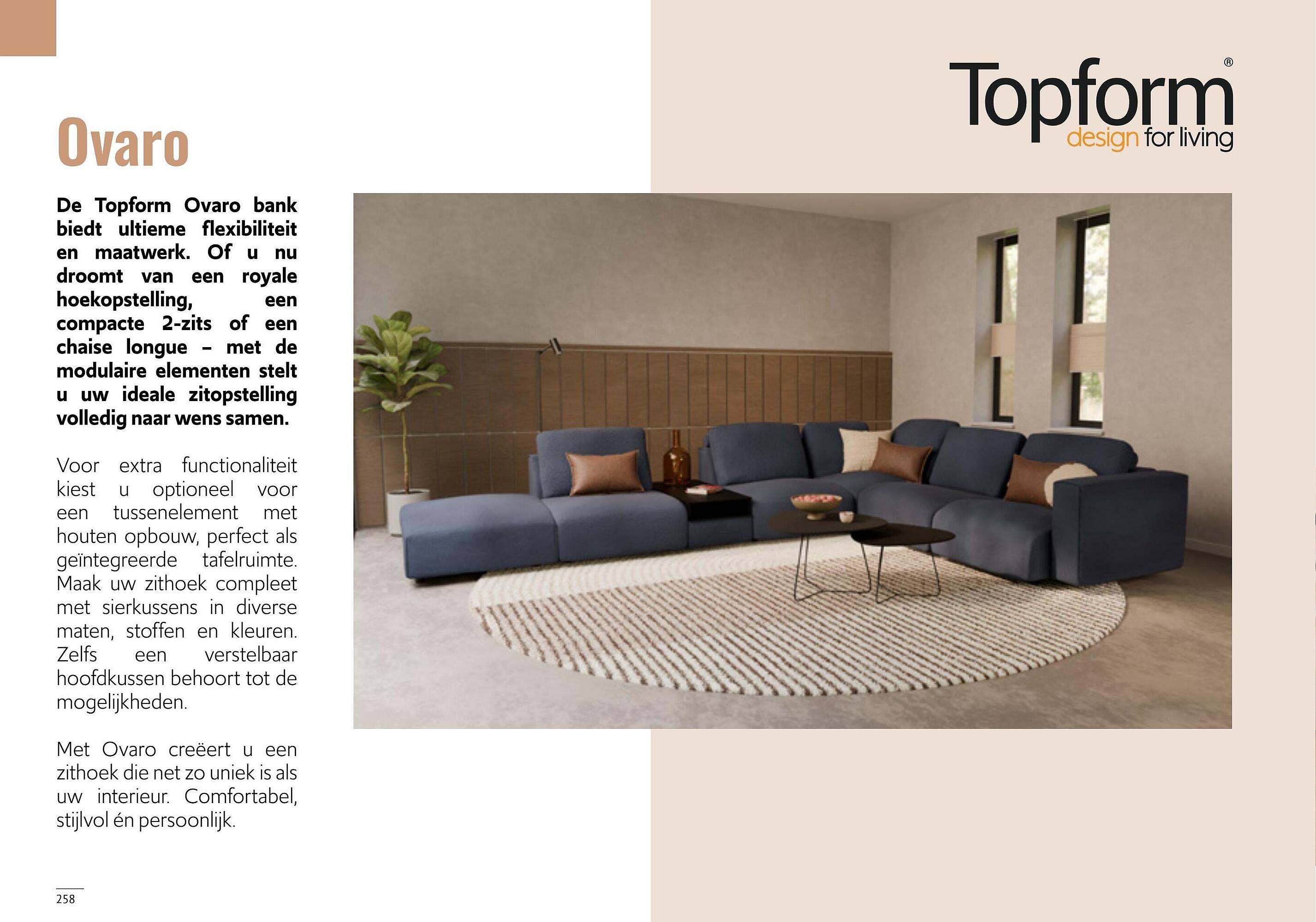 Donjon folder week 19 Pagina 260