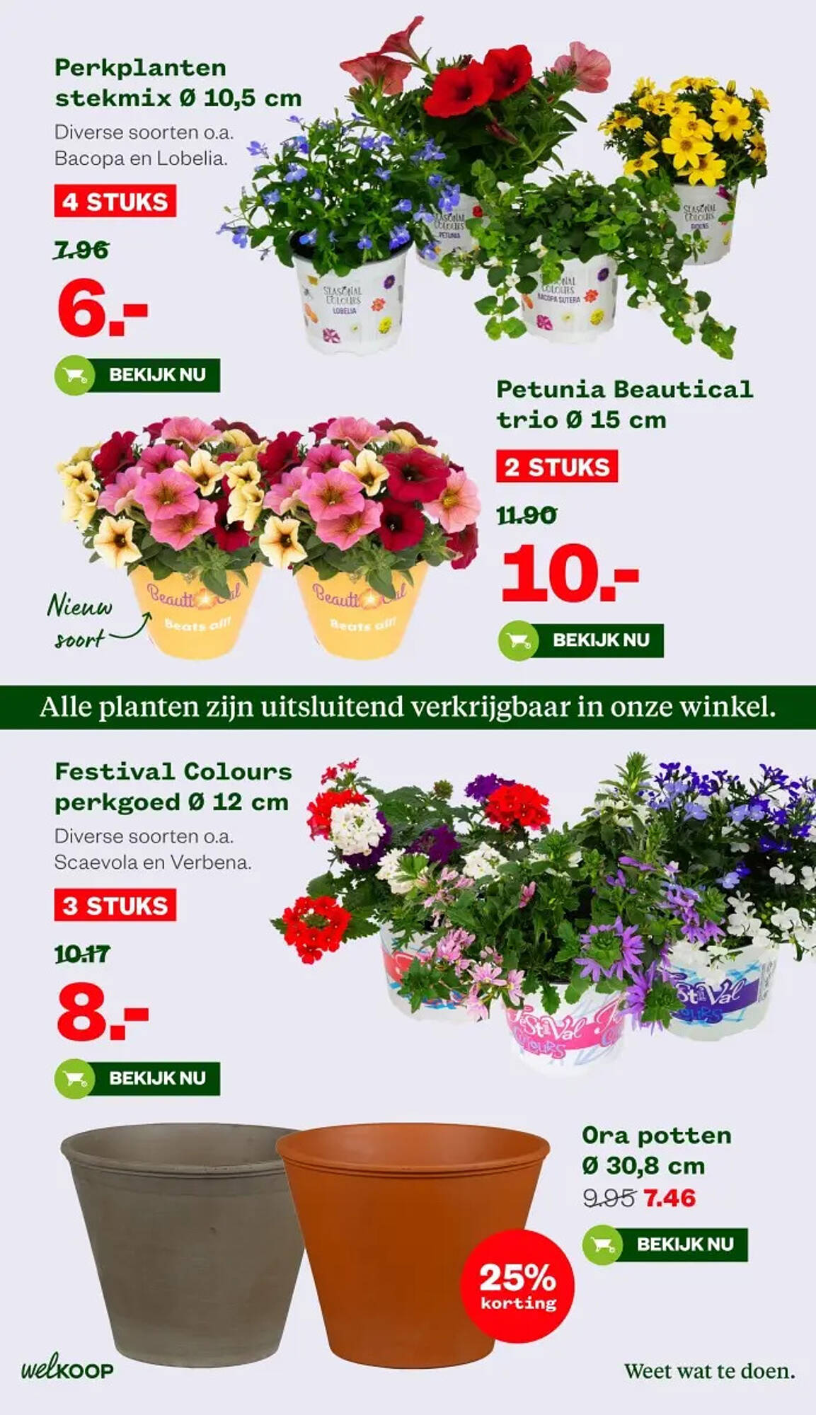Welkoop folder Pagina 7