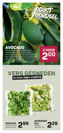 Ekoplaza folder week 20 Pagina 13