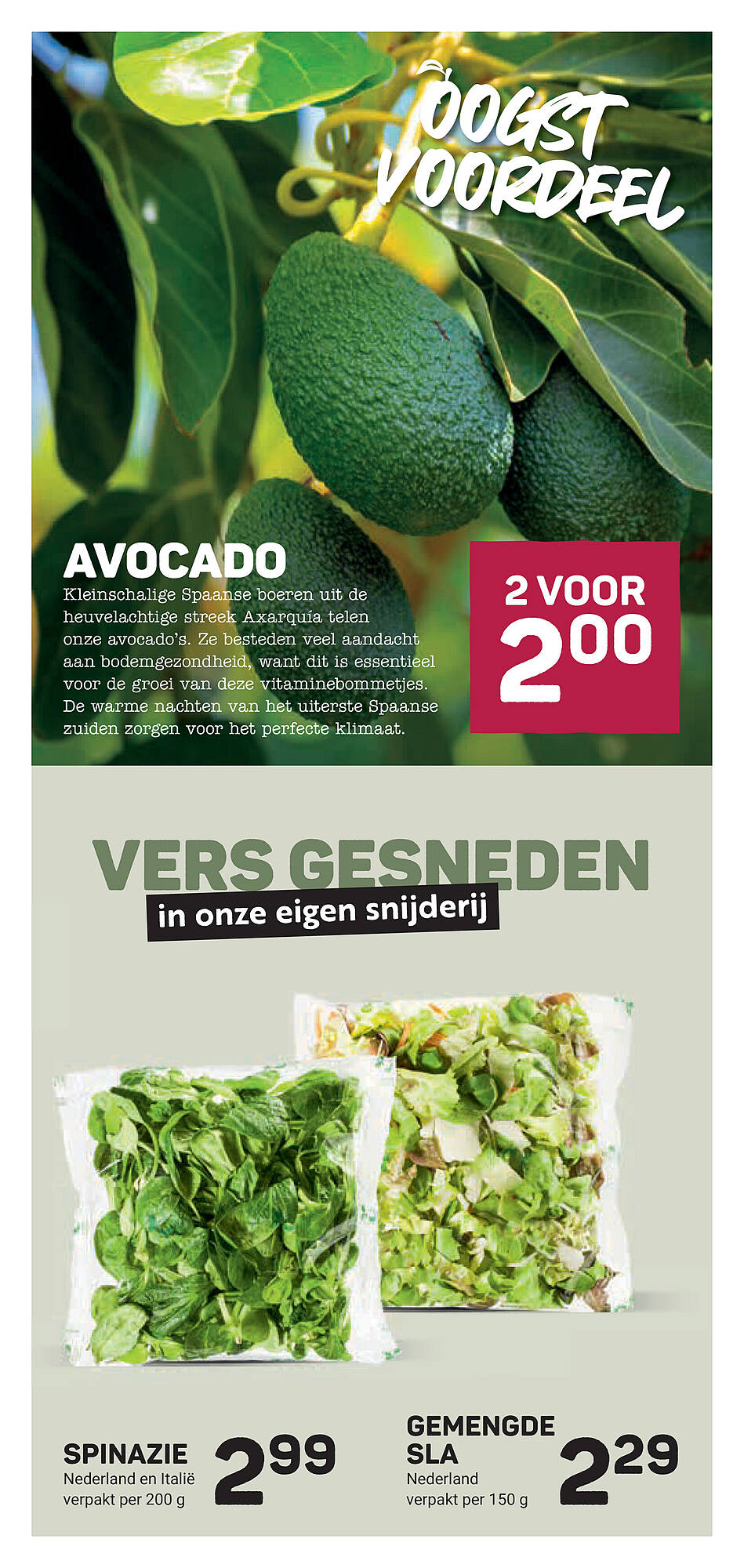 Ekoplaza folder week 20 Pagina 13