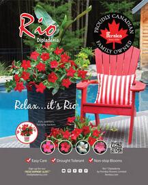 LCBO flyer week 19 Page 11