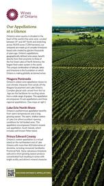 LCBO flyer week 19 Page 134