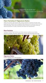 LCBO flyer week 19 Page 137