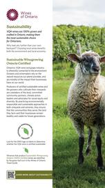 LCBO flyer week 19 Page 138