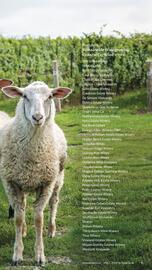 LCBO flyer week 19 Page 139