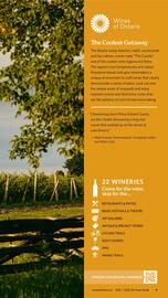LCBO flyer week 19 Page 141