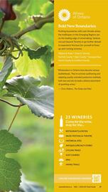 LCBO flyer week 19 Page 157