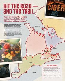 LCBO flyer week 19 Page 16