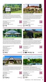 LCBO flyer week 19 Page 177