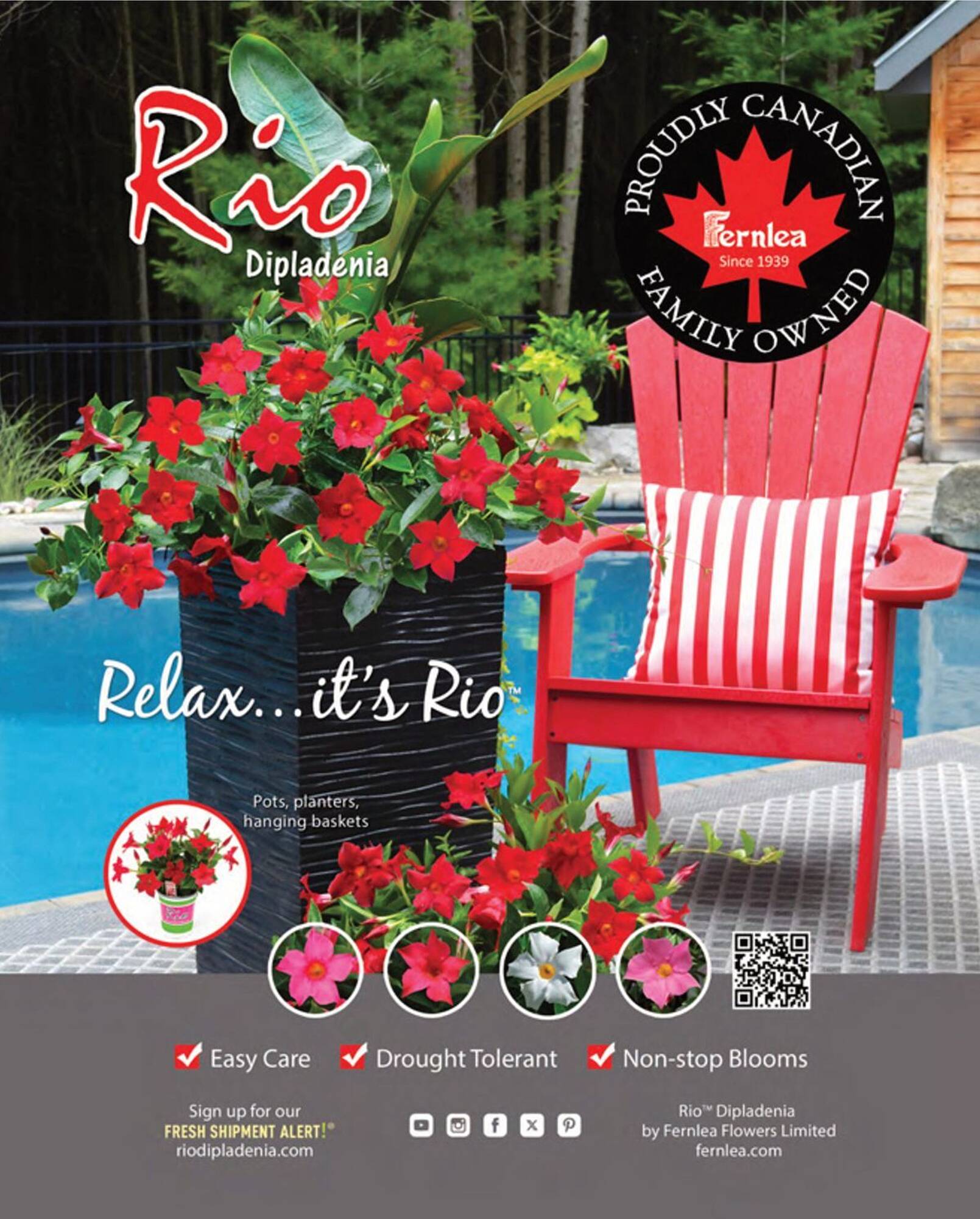 LCBO flyer week 19 Page 11