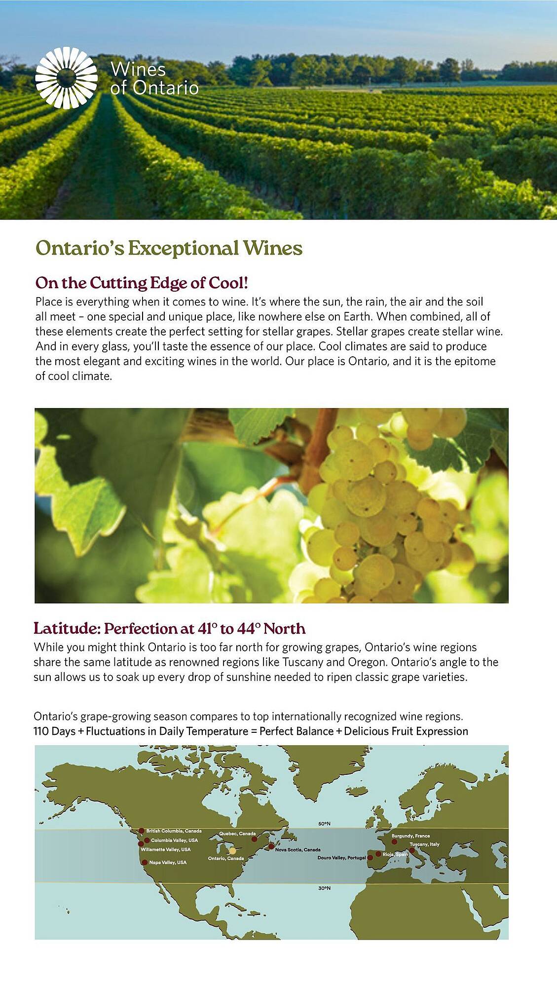 LCBO flyer week 19 Page 132