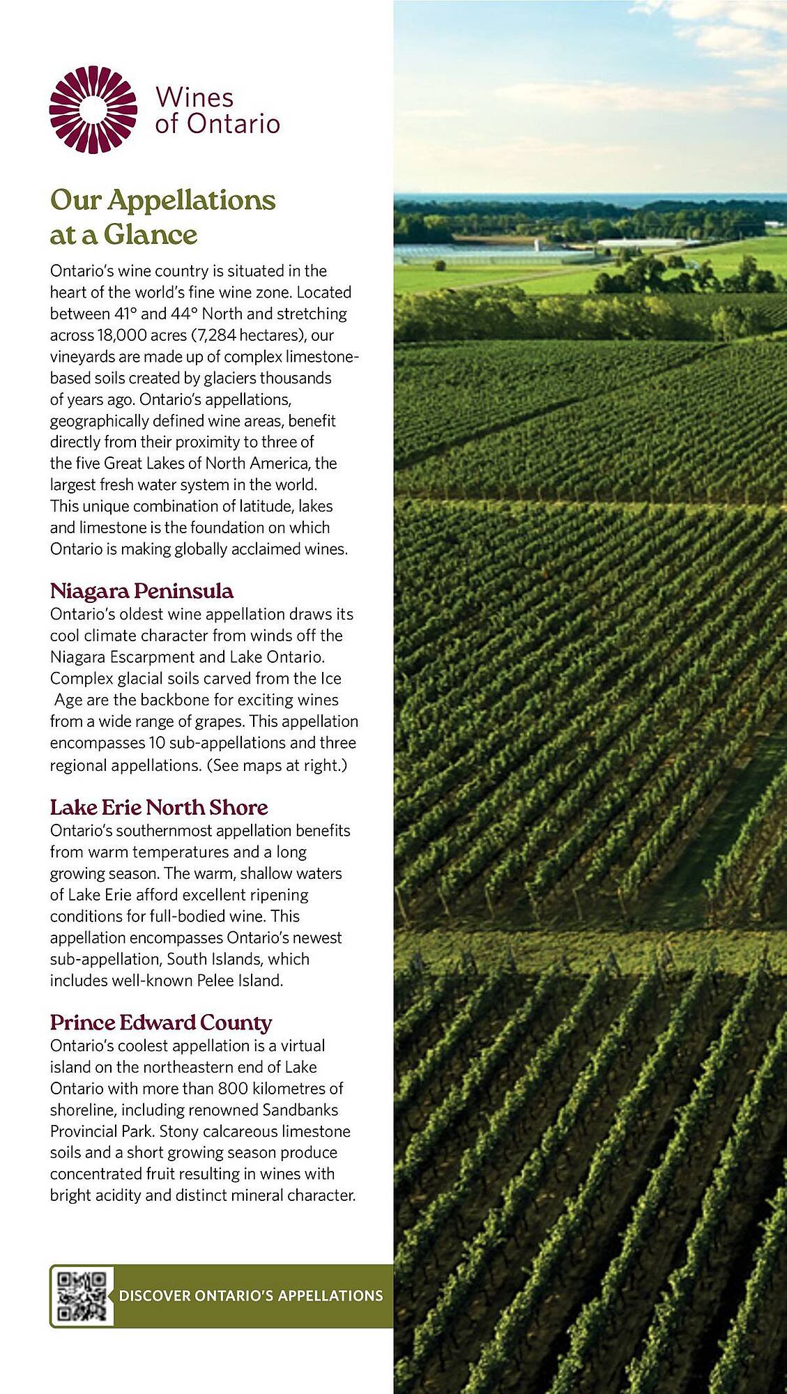 LCBO flyer week 19 Page 134