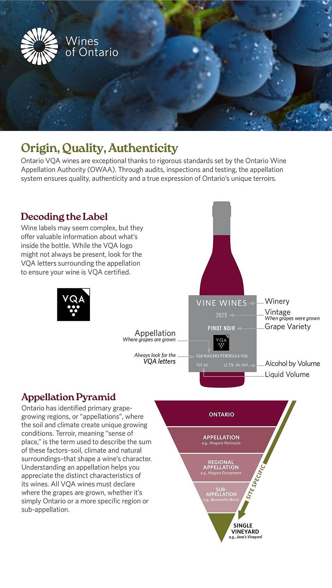 LCBO flyer week 19 Page 136