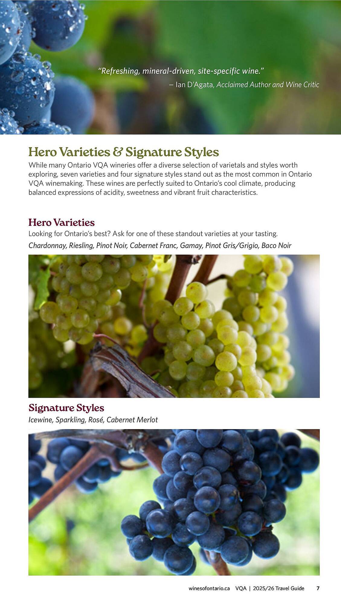 LCBO flyer week 19 Page 137