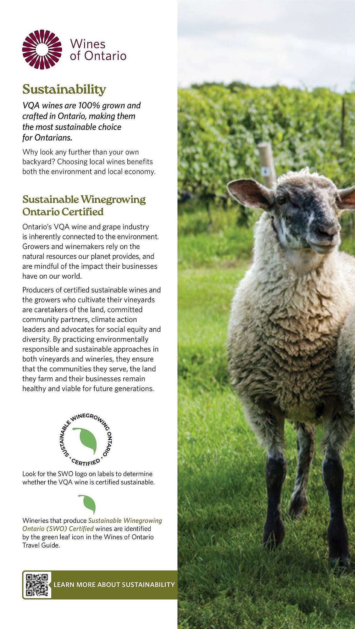 LCBO flyer week 19 Page 138