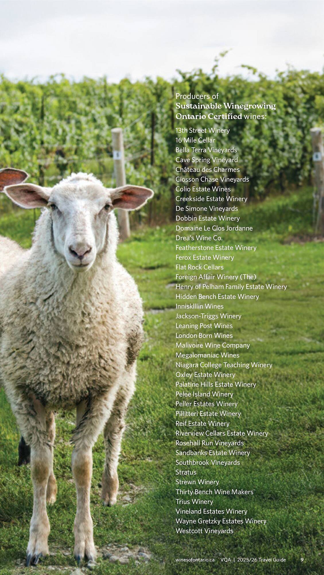 LCBO flyer week 19 Page 139
