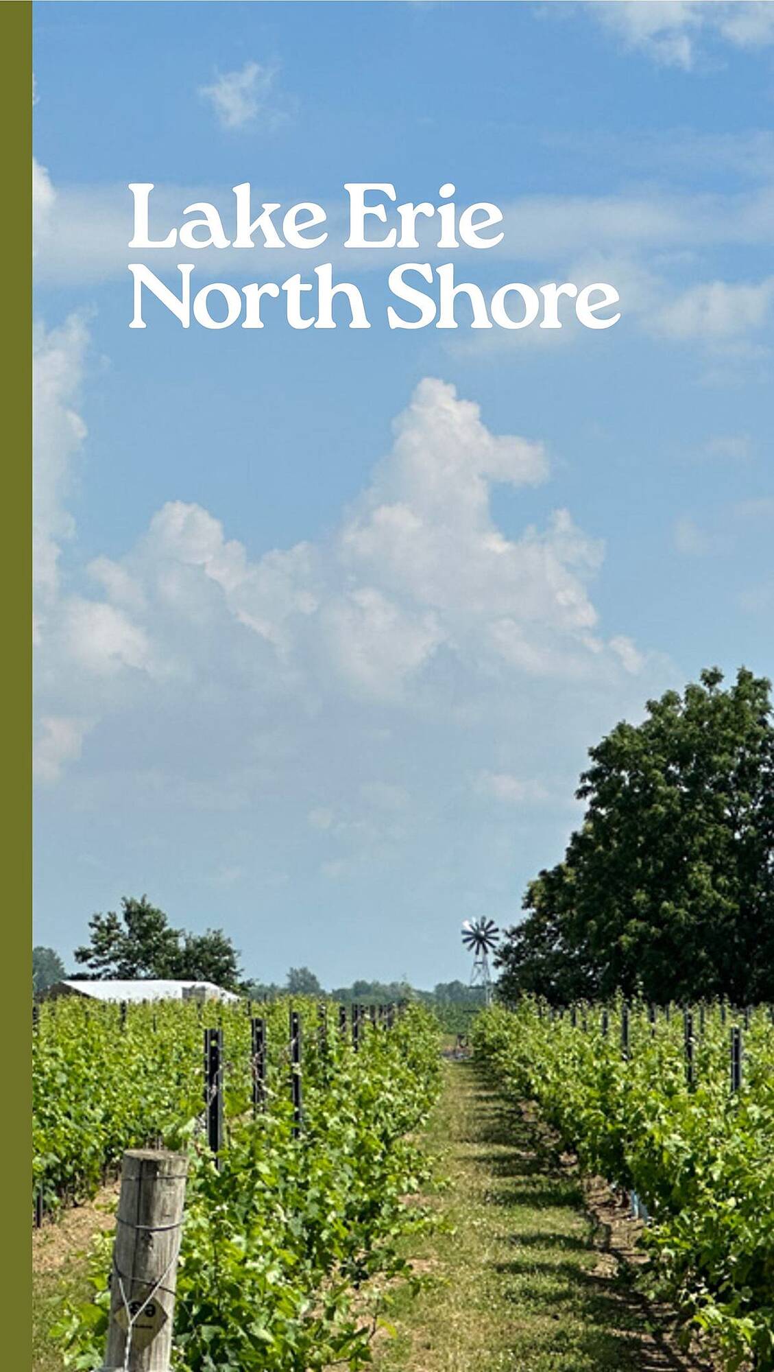 LCBO flyer week 19 Page 148