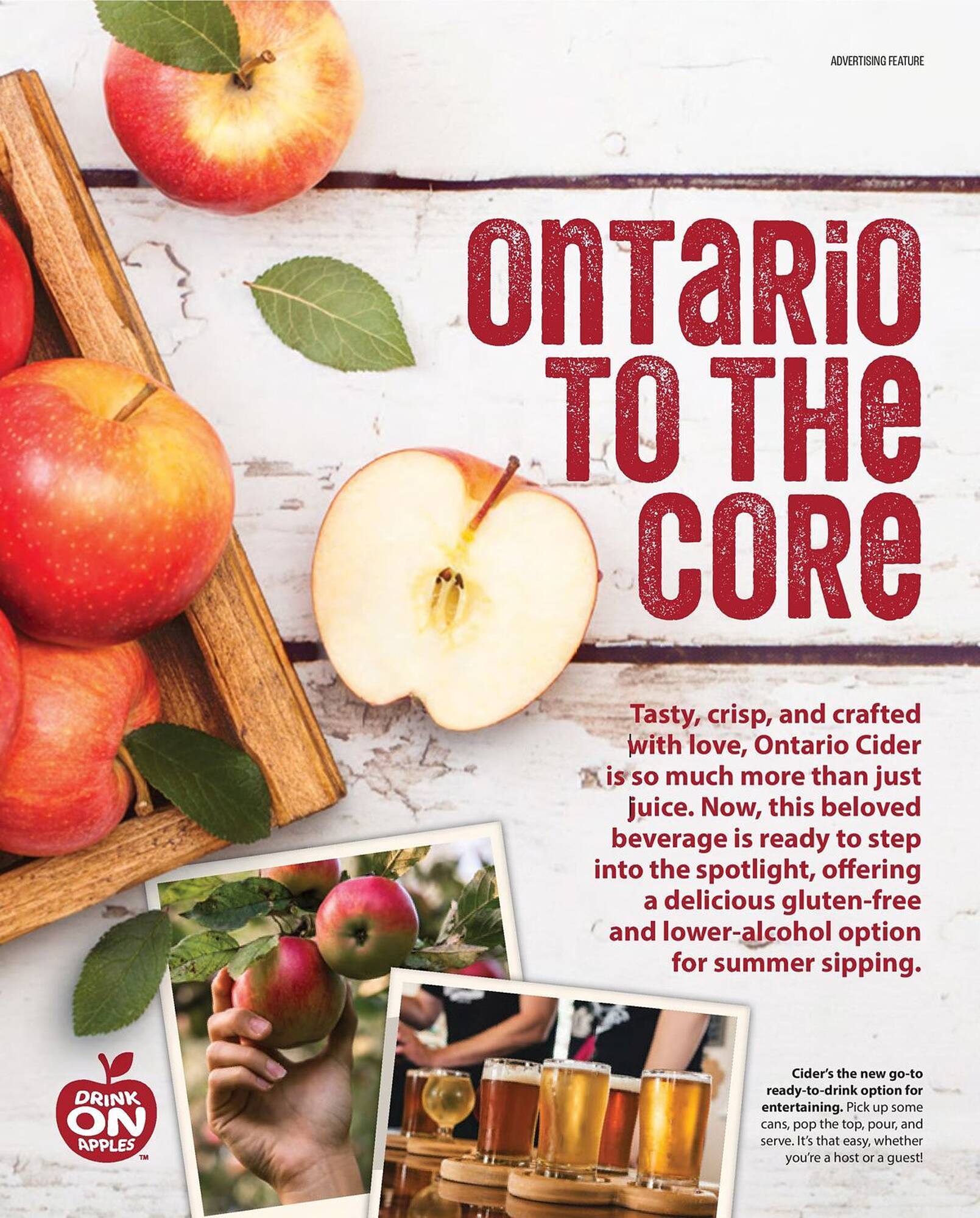 LCBO flyer week 19 Page 15