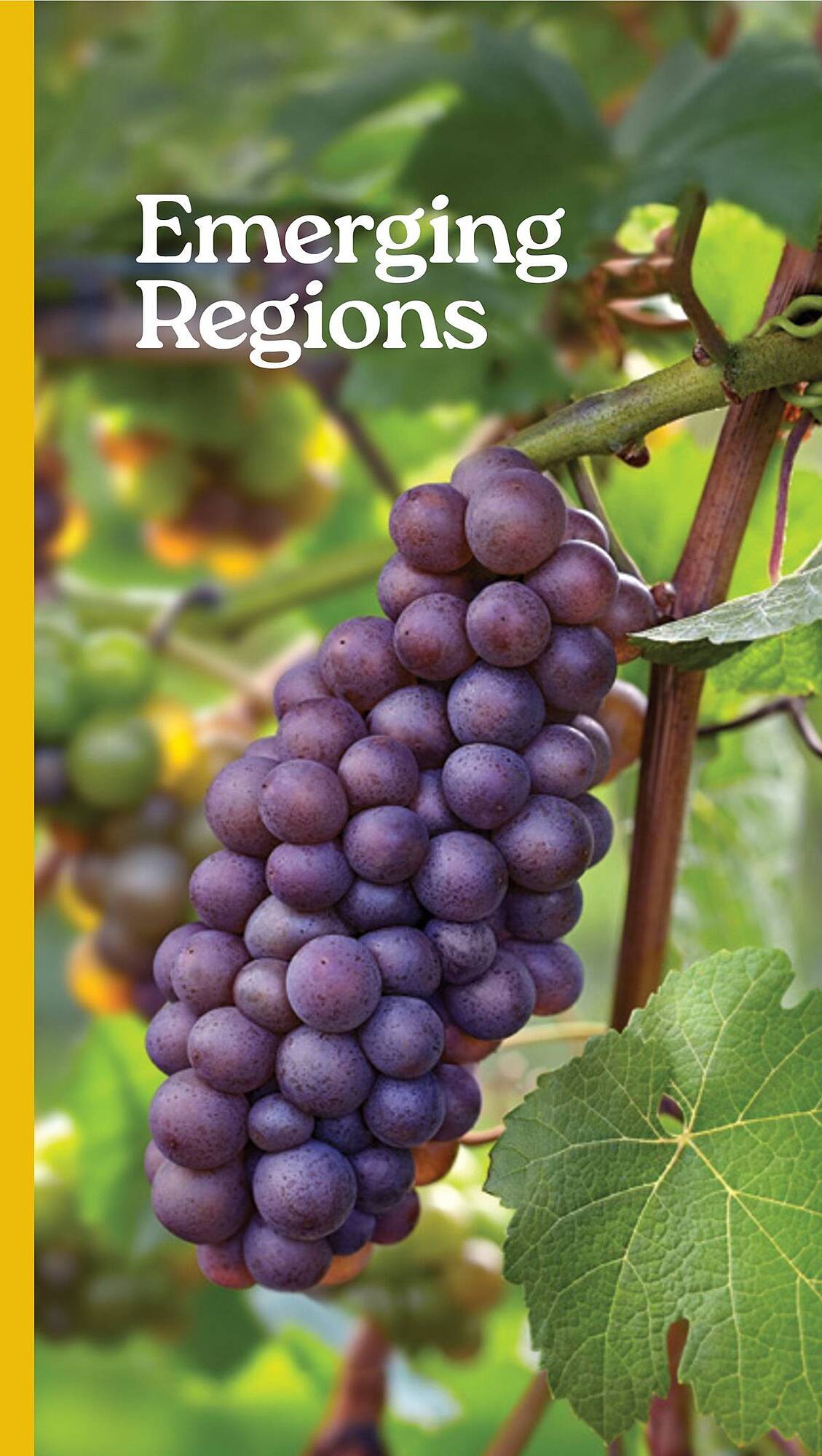 LCBO flyer week 19 Page 156