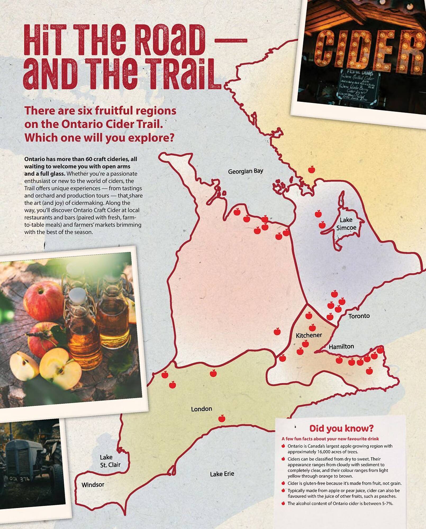 LCBO flyer week 19 Page 16