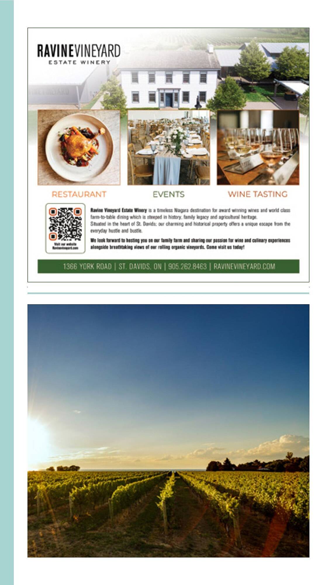 LCBO flyer week 19 Page 204