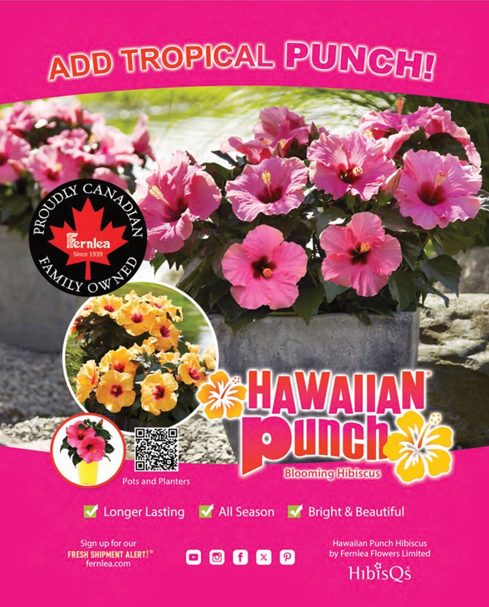 LCBO flyer week 19 Page 31