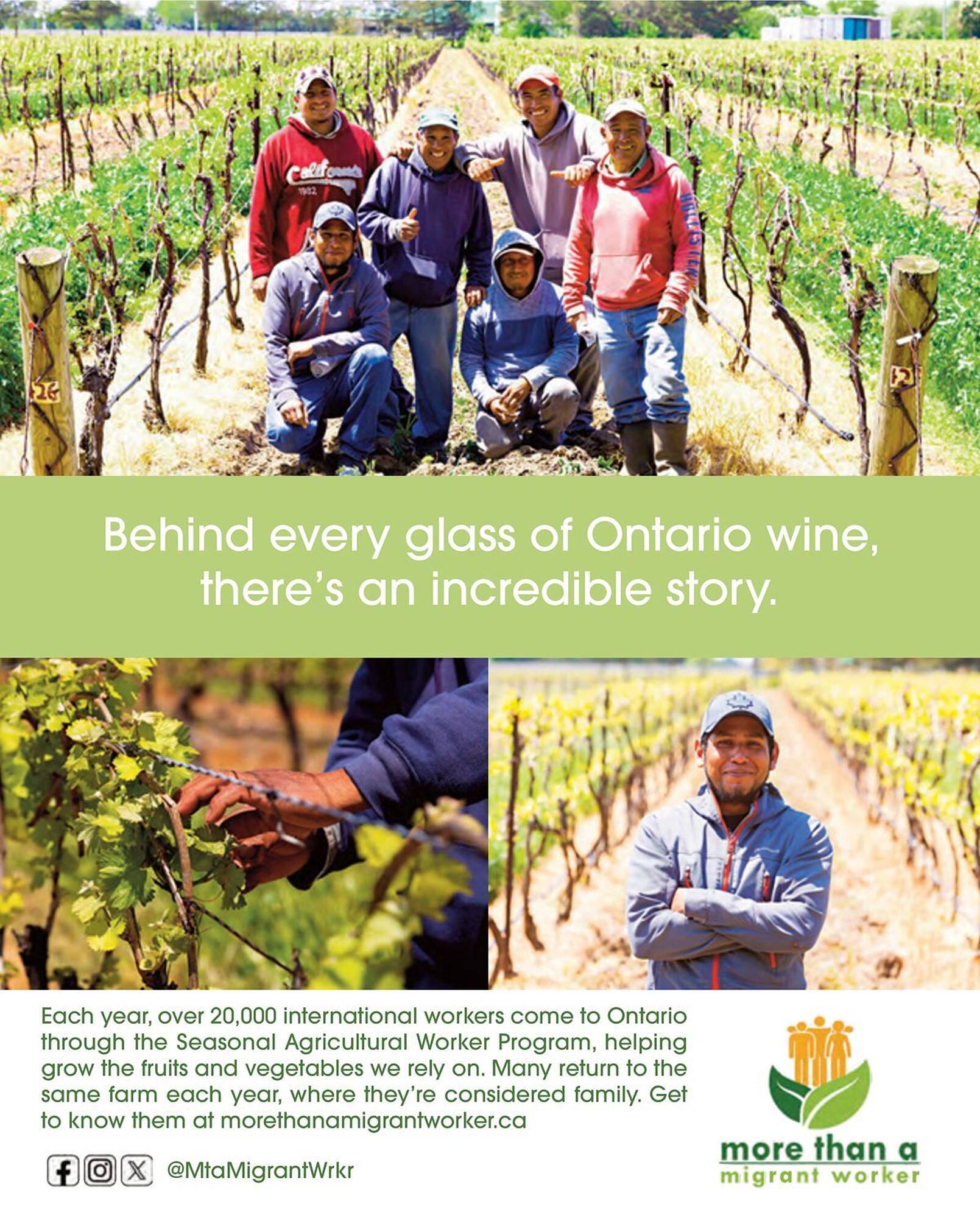 LCBO flyer week 19 Page 99