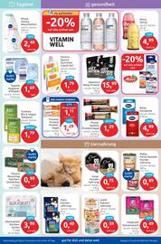 Budni Prospekt woche 21 Seite 5