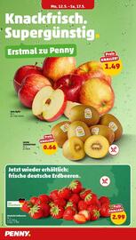 PENNY Prospekt woche 20 Seite 2
