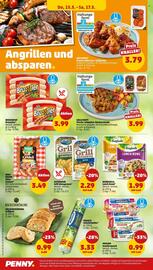 PENNY Prospekt woche 20 Seite 24