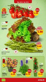 PENNY Prospekt woche 20 Seite 3