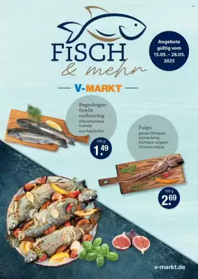 V Markt Prospekt (gültig bis 28-05)
