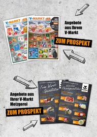 V Baumarkt Prospekt woche 20 Seite 14