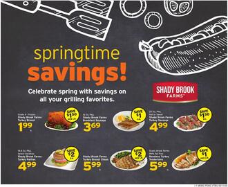 Hannaford Weekly Ad week 20 Page 9