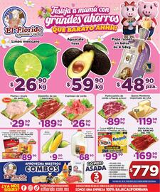 Catálogo El Florido semana 19 Página 1