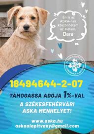 Alpha Zoo akciós újság Oldal 26
