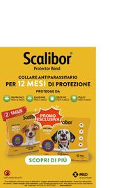 Volantino Animalmania Pagina 4