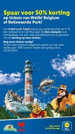 Lidl folder week 20 Pagina 21