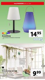 Lidl folder week 20 Pagina 42