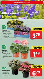 Lidl folder week 20 Pagina 46