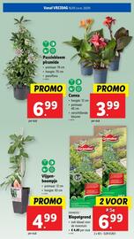 Lidl folder week 20 Pagina 47